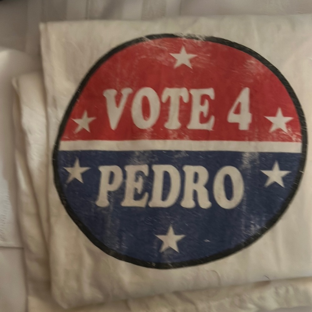 Original Napoleon Dynamite vote for Pedro shirt. Think Halloween. Get a llama